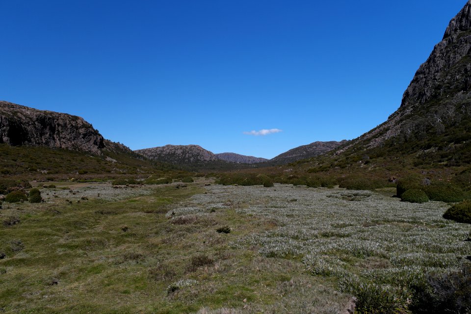 Walls of Jerusalem National Park, Tasmania 102