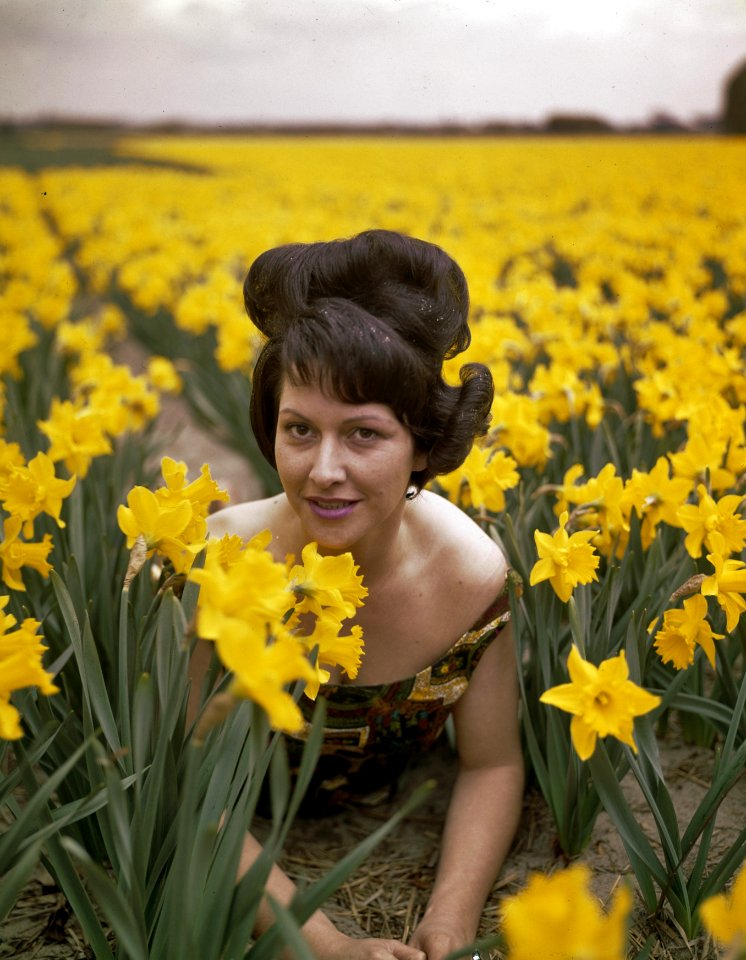 Vrouwen, BLOEMBOLLENVELDEN, Narcissen, Bestanddeelnr 254-7197