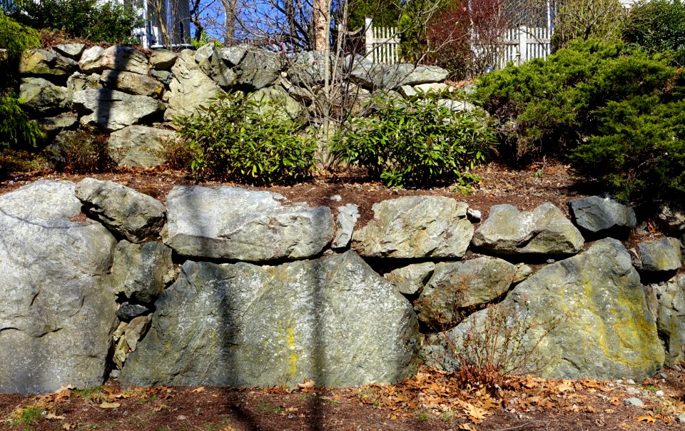 Walls - Arlington, MA - DSC09837