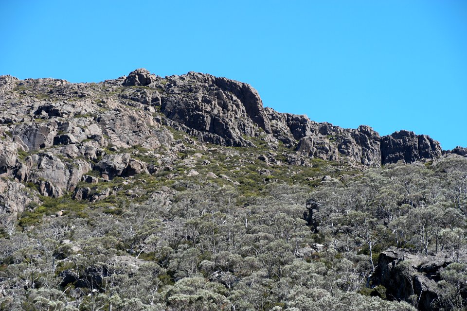 Walls of Jerusalem National Park, Tasmania 99