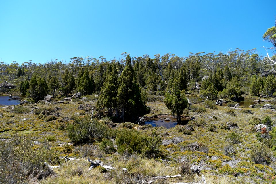 Walls of Jerusalem National Park, Tasmania 56