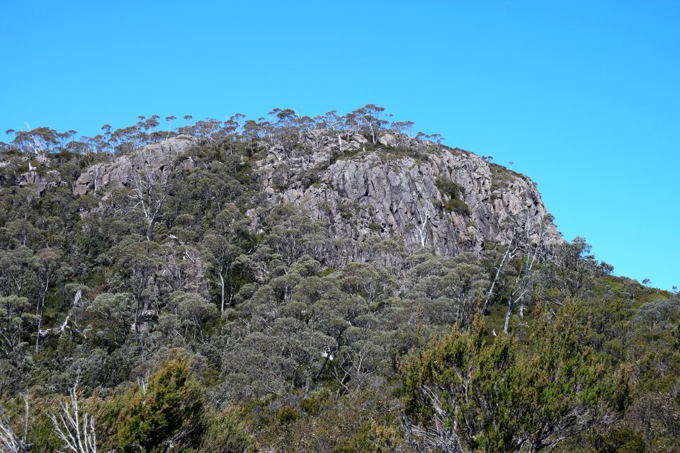 Walls of Jerusalem National Park, Tasmania 93