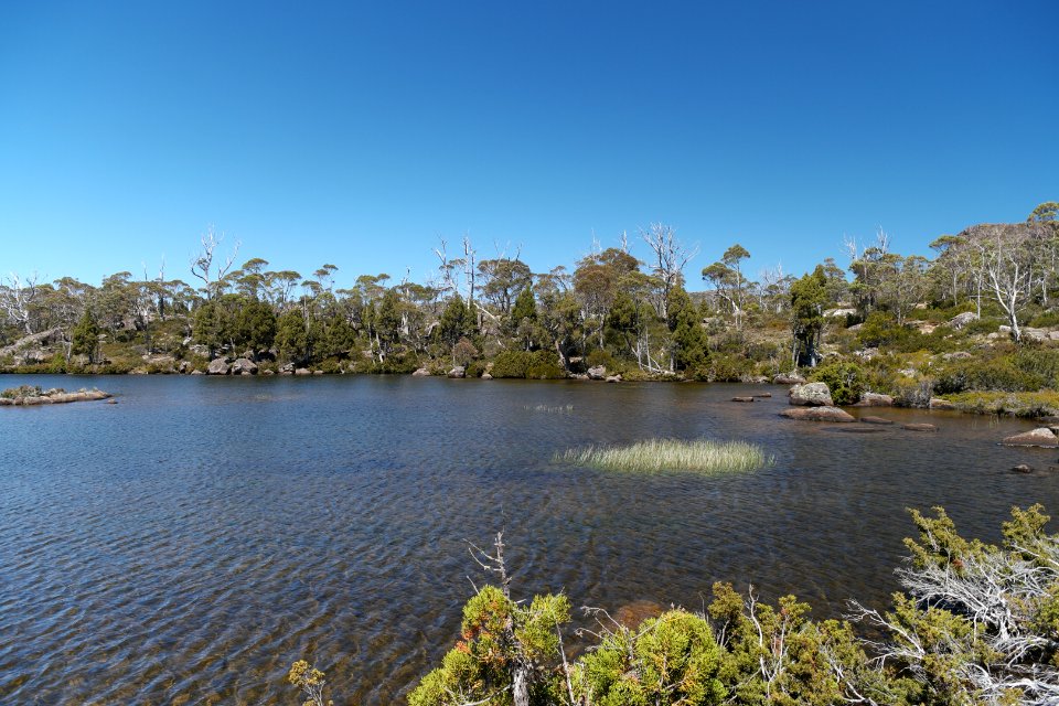 Walls of Jerusalem National Park, Tasmania 68