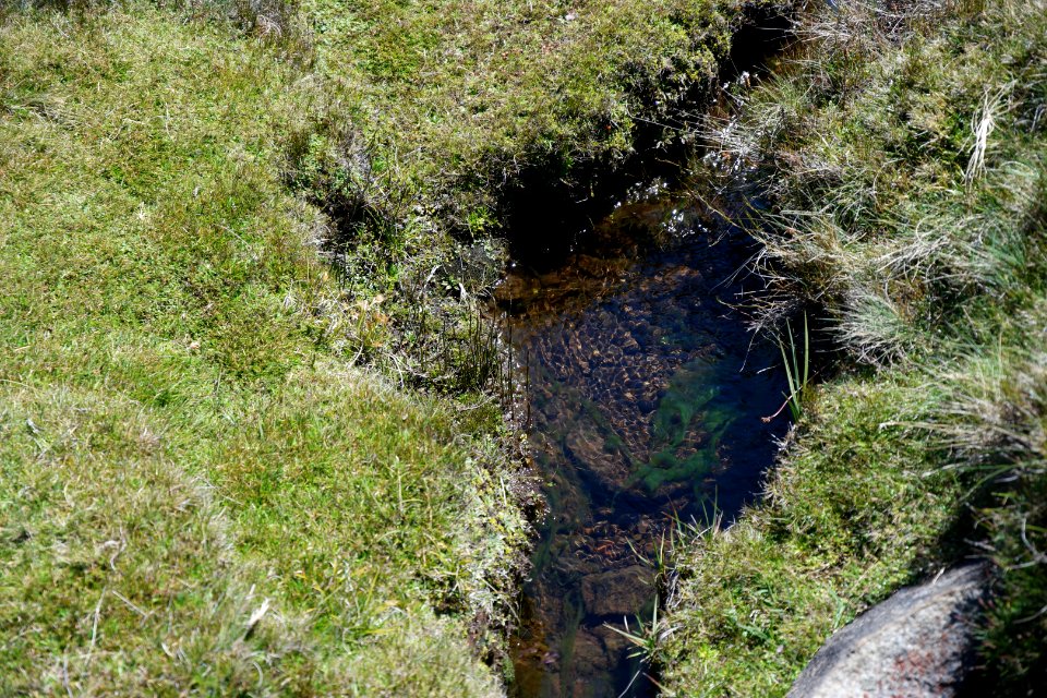 Walls of Jerusalem National Park, Tasmania 83