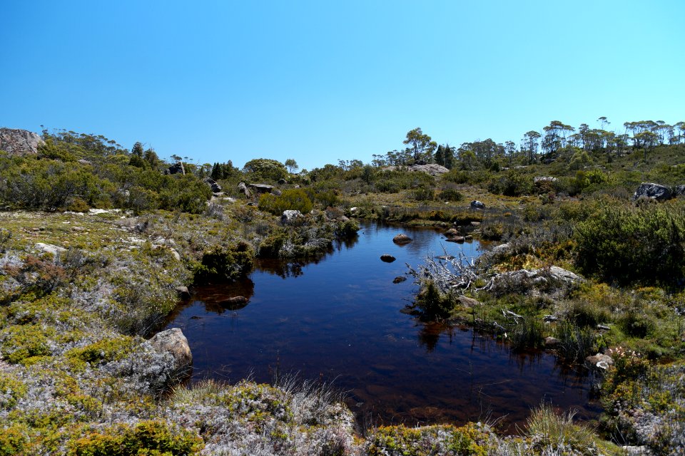 Walls of Jerusalem National Park, Tasmania 70