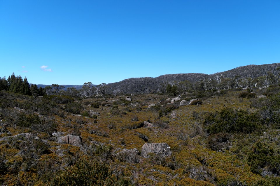 Walls of Jerusalem National Park, Tasmania 75