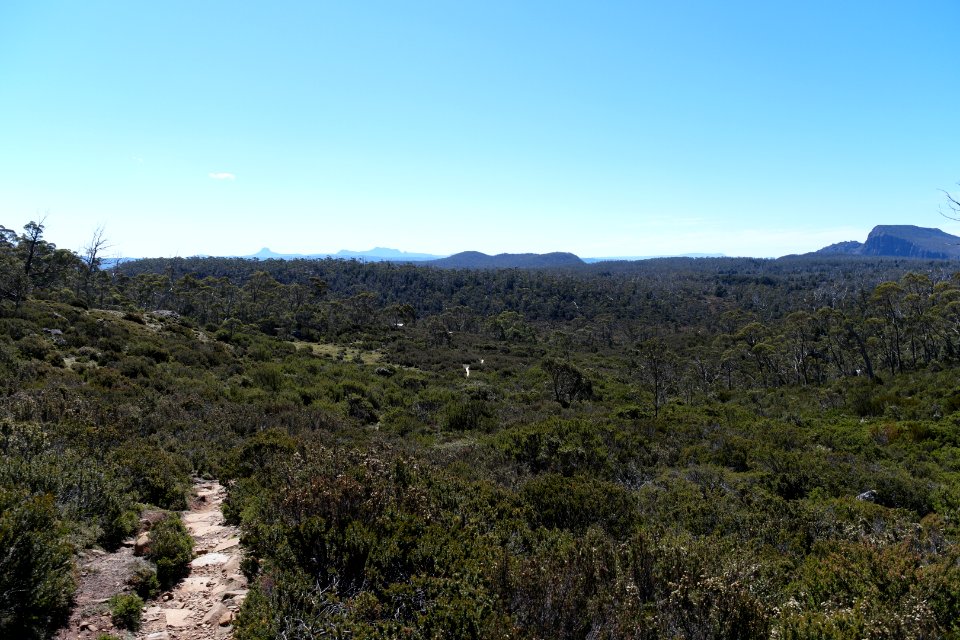 Walls of Jerusalem National Park, Tasmania 97
