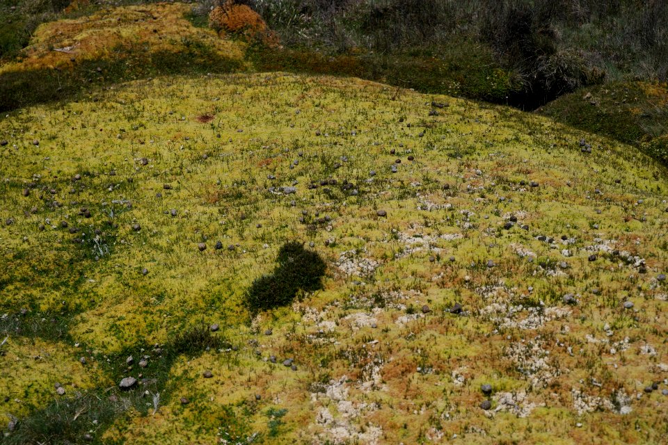 Walls of Jerusalem National Park, Tasmania 86