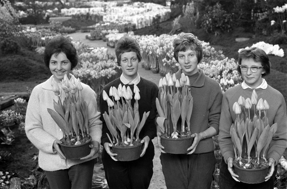 Voorbereidingen voor de jaarlijkse Westfriese flora, Bestanddeelnr 911-0315