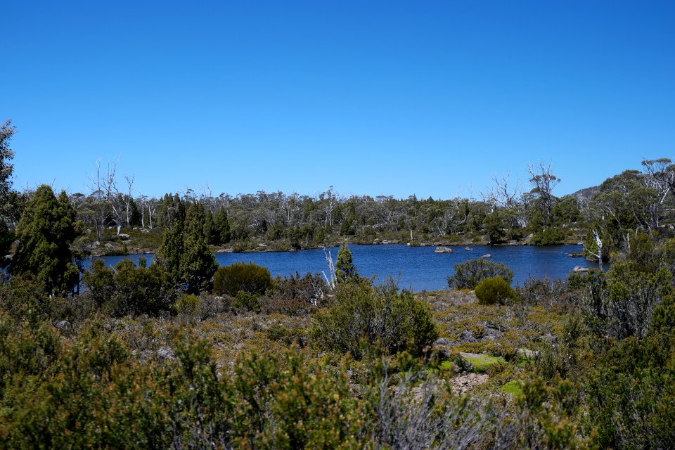 Walls of Jerusalem National Park, Tasmania 60