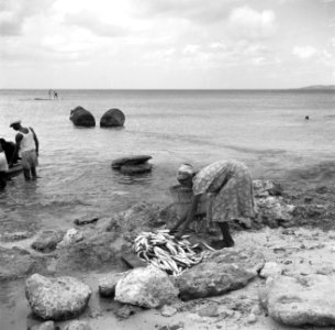 Vrouw met vis aan de Sint Michielsbaai aan de Zuidkust van Curaçao, Bestanddeelnr 252-7511