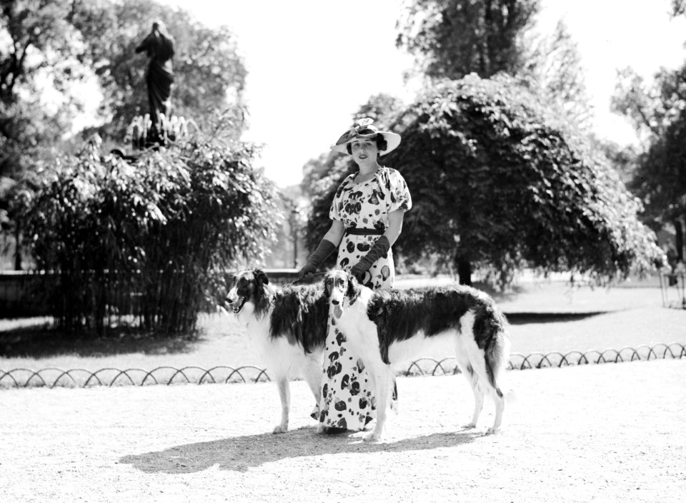 Vrouw met twee honden in het Bois de Boulogne, Bestanddeelnr 255-8715