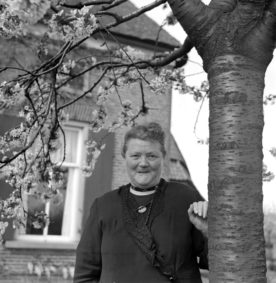 Vrouw onder een bloeiende boom, Bestanddeelnr 252-1942