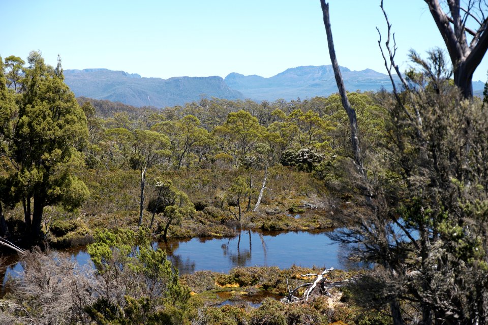 Walls of Jerusalem National Park, Tasmania 37