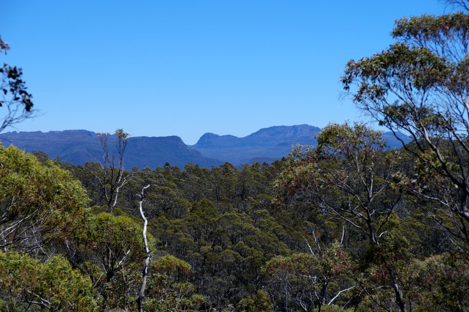 Walls of Jerusalem National Park, Tasmania 27