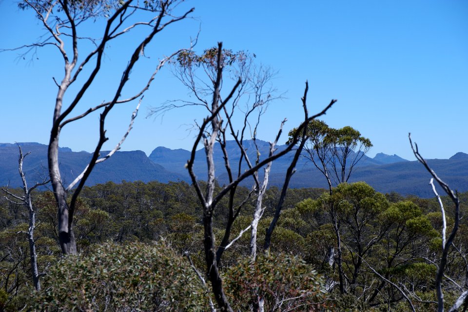 Walls of Jerusalem National Park, Tasmania 33