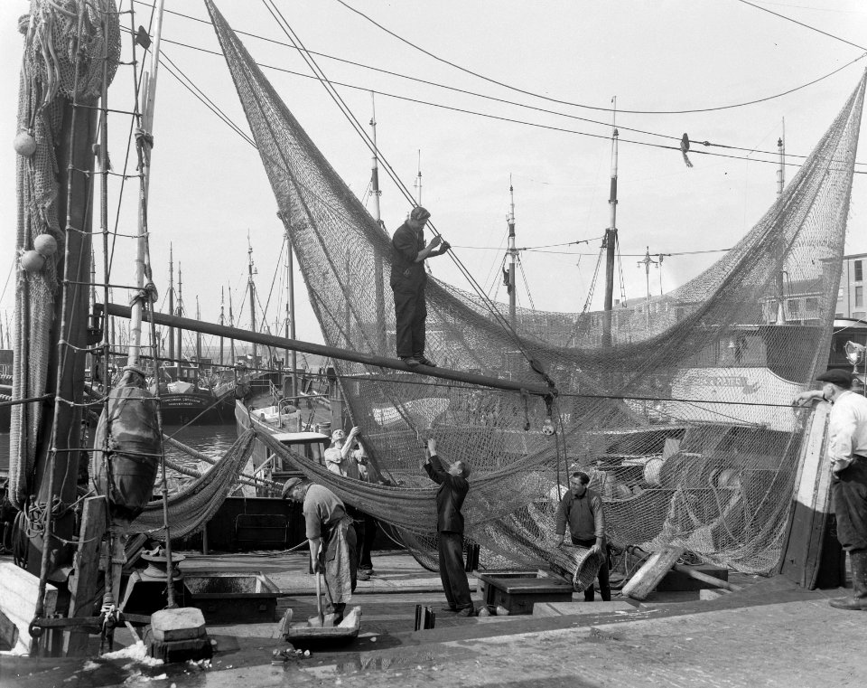 Voorbereidingen Scheveningse haven voor nieuwe haringvangst, Bestanddeelnr 905-6994