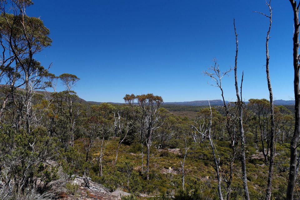 Walls of Jerusalem National Park, Tasmania 32