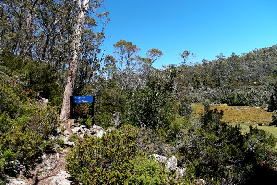 Walls of Jerusalem National Park, Tasmania 18