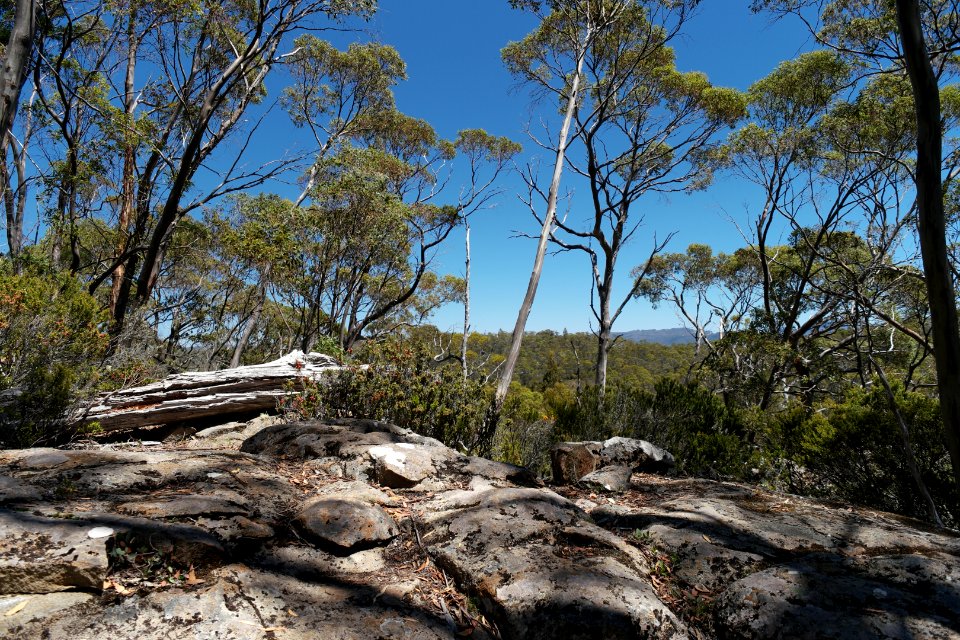 Walls of Jerusalem National Park, Tasmania 26