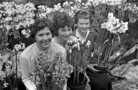 Voorbereidingen voor de jaarlijkse Westfriese flora, Bestanddeelnr 911-0317