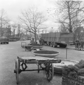 Voorbereiding bloemententoonstelling Floribunde in Diergaarde Blijdorp, de laa, Bestanddeelnr 917-5890