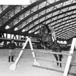 Voorbereiding Concours Hippique in de Nieuwe RAI Hr J van Tiel op Inkstreet, Bestanddeelnr 913-2404