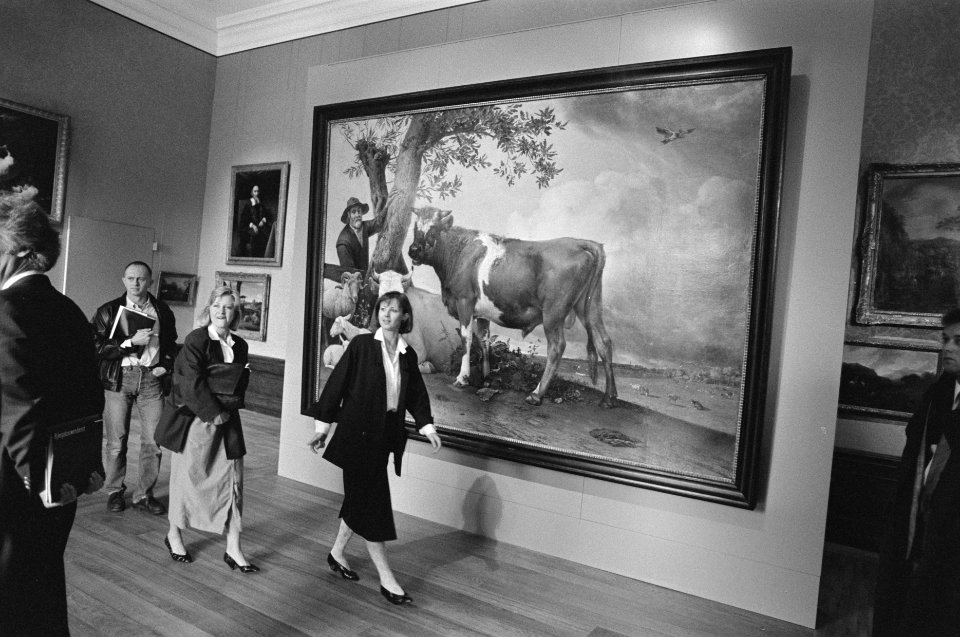 Voorbezichting Mauritshuis ( Den Haag ) na restauratie De Stier van Paulus Pott, Bestanddeelnr 934-0009