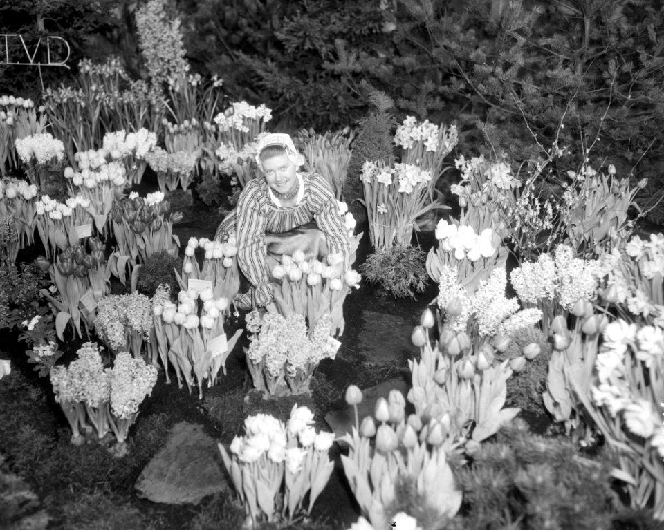 Voorbereidingen West Friese Flora in Bovenkarspel, Bestanddeelnr 909-3453