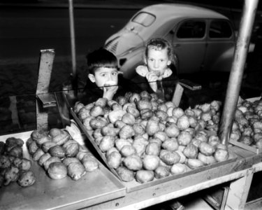 Voorbereidingen voor oudjaar, oliebollen, Bestanddeelnr 909-2163