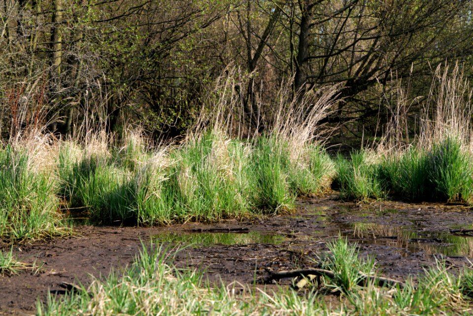 Volkspark Wuhlheide 2021-04-20 43