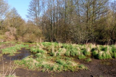 Volkspark Wuhlheide 2021-04-20 40