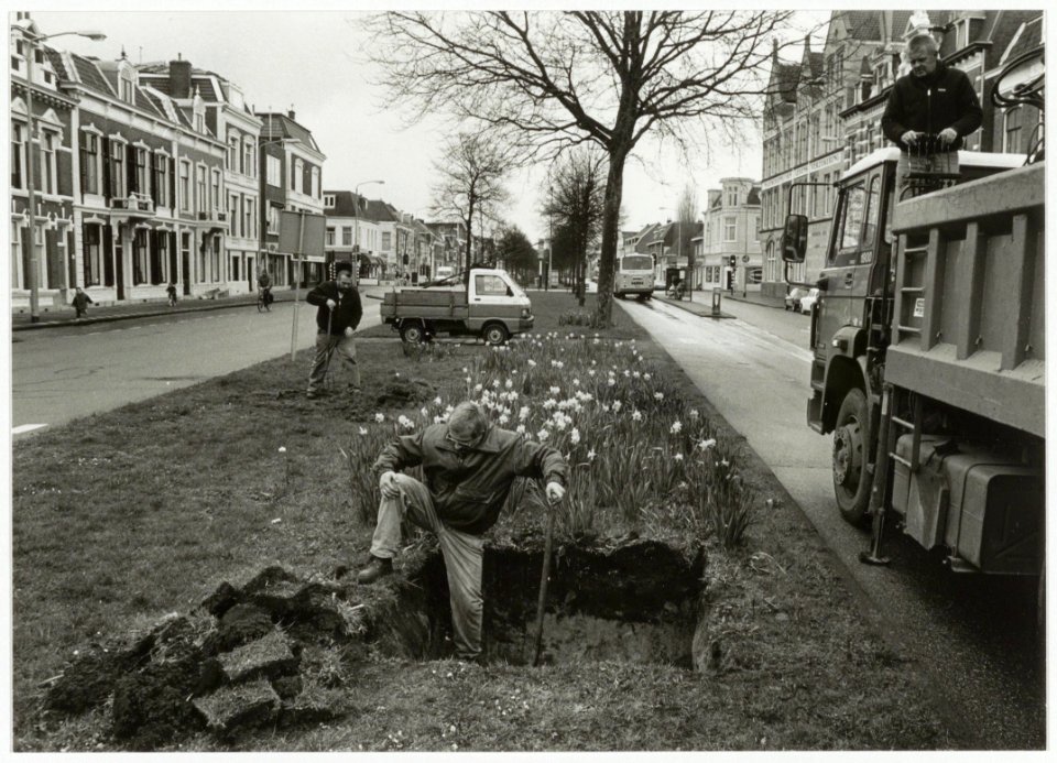 Voorbereidingen voor het planten van de Bomans beuken, voor het voormalige woonhuis van de schrijver. NL-HlmNHA 54035298