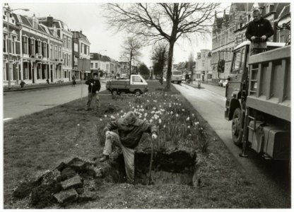 Voorbereidingen voor het planten van de Bomans beuken, voor het voormalige woonhuis van de schrijver. NL-HlmNHA 54035298