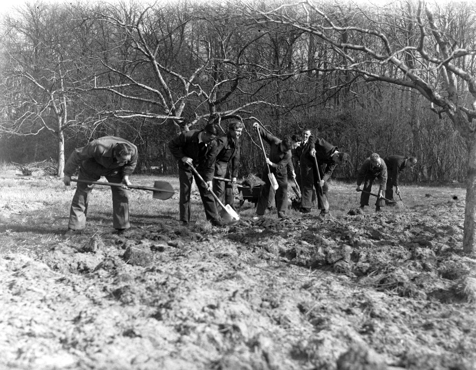 Volkshogeschool Bergen. Cursisten verzorgen tuin en boomgaard, Bestanddeelnr 902-6054