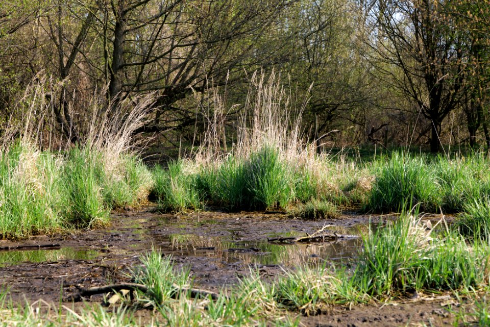 Volkspark Wuhlheide 2021-04-20 44
