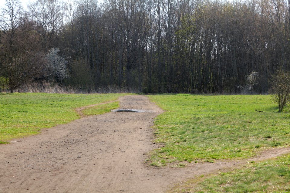 Volkspark Wuhlheide 2021-04-20 35