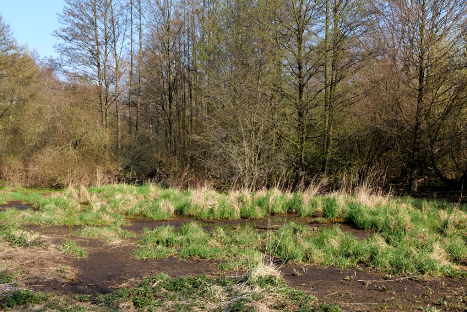 Volkspark Wuhlheide 2021-04-20 45