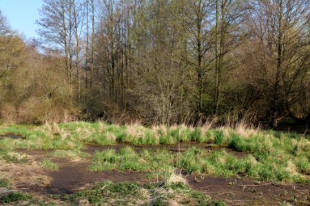 Volkspark Wuhlheide 2021-04-20 45