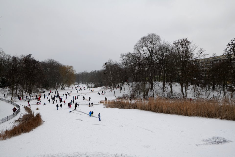 Volkspark Wilmersdorf with snow 2021-02-08 13