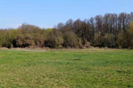 Volkspark Wuhlheide 2021-04-20 32