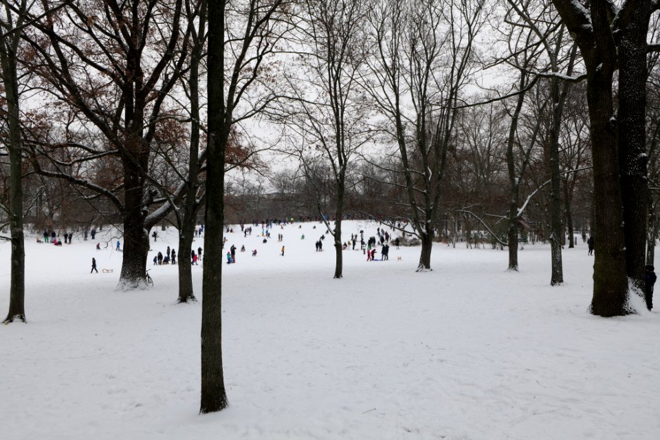 Volkspark Wilmersdorf with snow 2021-02-08 08