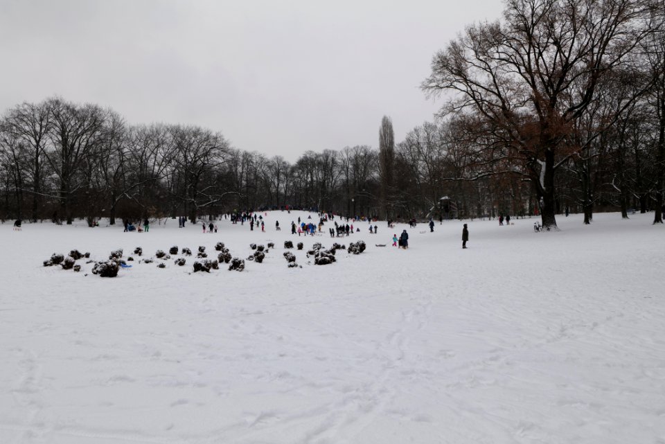 Volkspark Wilmersdorf with snow 2021-02-08 04
