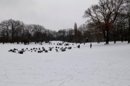 Volkspark Wilmersdorf with snow 2021-02-08 04