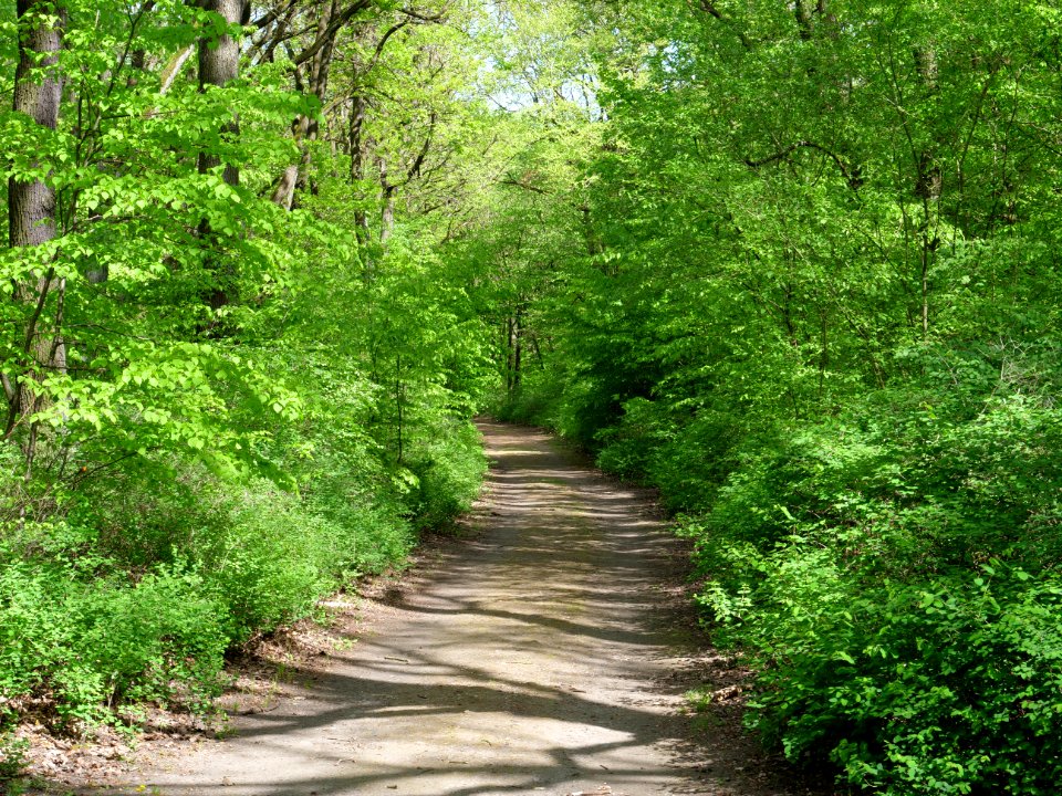 Volkspark Jungfernheide 19
