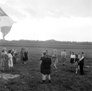 Volksdansen, Bestanddeelnr 902-8294