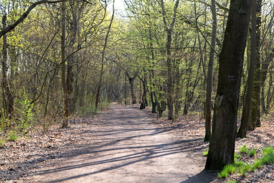Volkspark Wuhlheide 2021-04-20 24