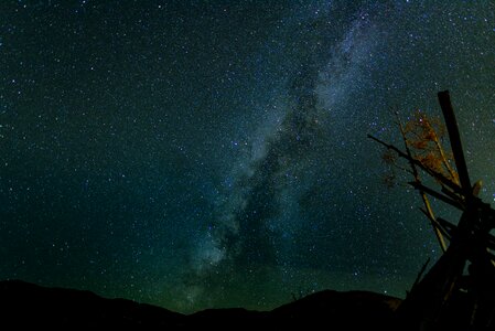 Constellation silhouette nature