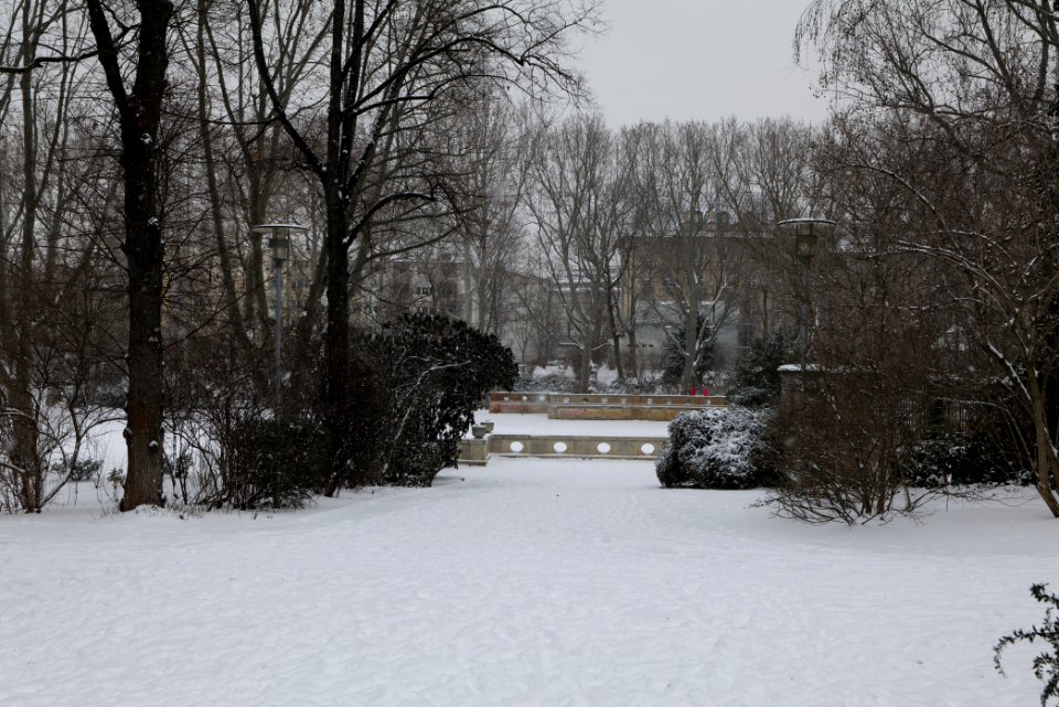Volkspark Wilmersdorf with snow 2021-02-08 25