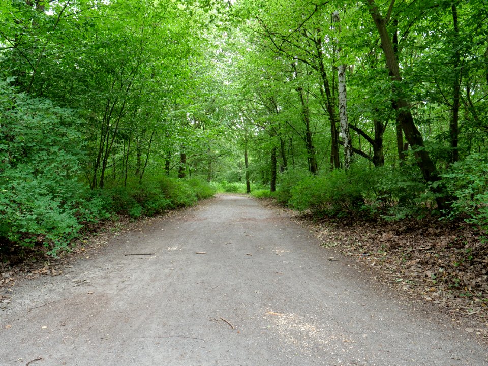 Volkspark Jungfernheide 40